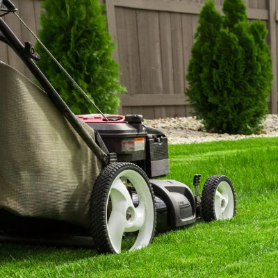 Lawn Mowing